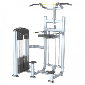 MND-FF09 Azụmahịa Gym Fitness Machines Machines Dip/Chin Assist Machine