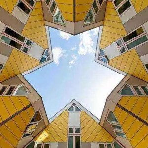 Hot sale Factory Wooden Floor Tiles - geometry  – Morningstar