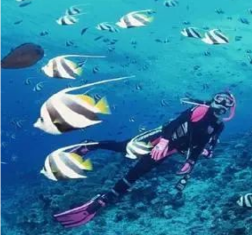 How much do you know about diving cloth?