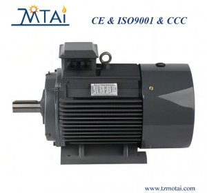 IE3 Series  Three Phase Electric Motor