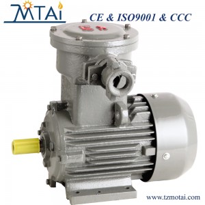 YB3 Series Explosion Proof Three  Phase Asynchronous Motor