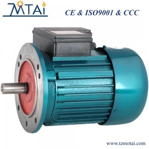 YY Series Single-Phase Asynchronous Motor with Cast Iron Housing AC Motor