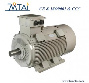 YVF2 Series Converter-Fed Variable Frequency Three-Phase Motor