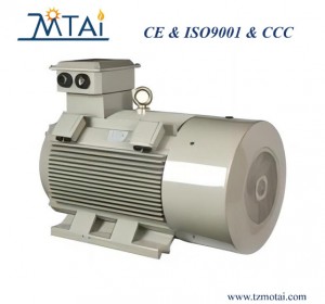 YVF2 Series Converter-Fed Variable Frequency Three-Phase Motor