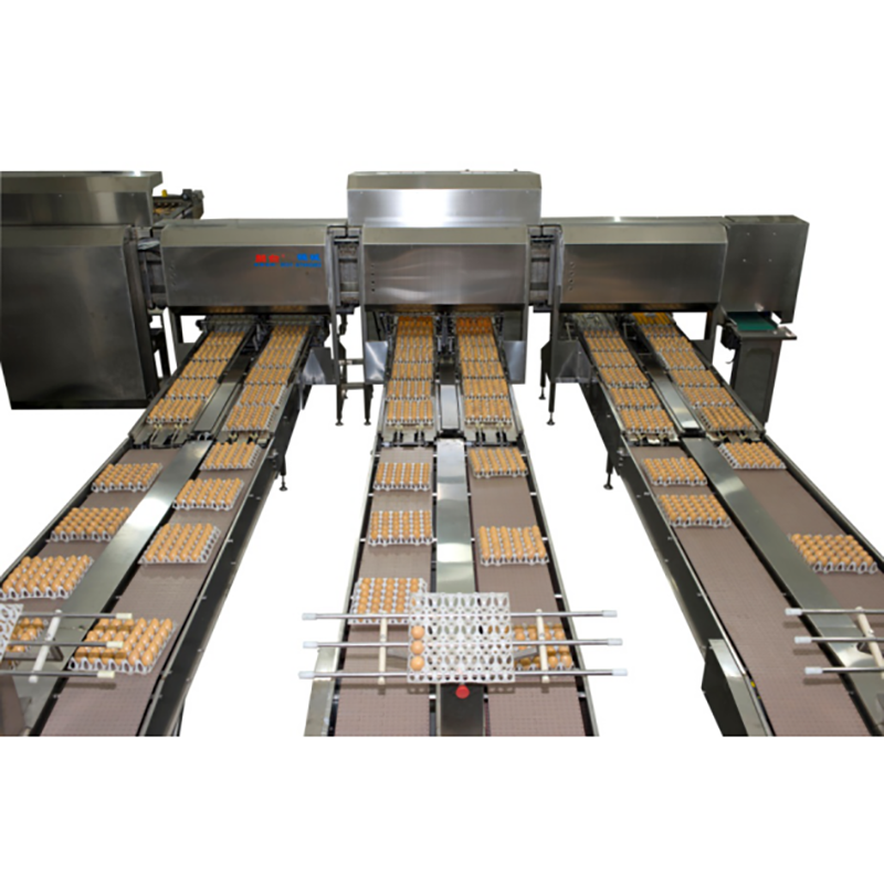 Special Design for Egg Yolk Separator Machine - Egg sorting and packing Machine – Min-Tai