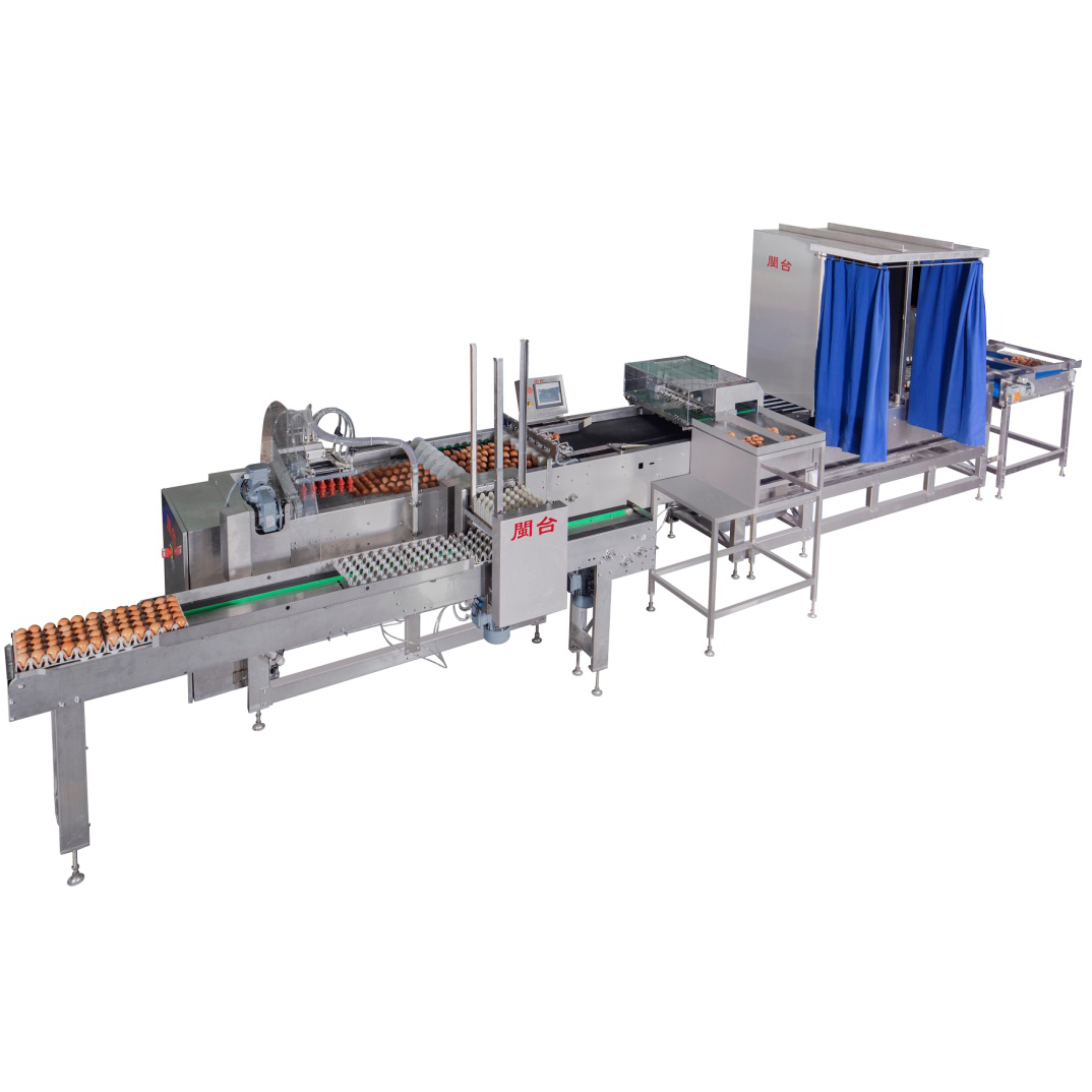Hatching egg packing machine Featured Image