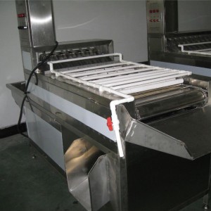 MT-200-1 egg peeling machine