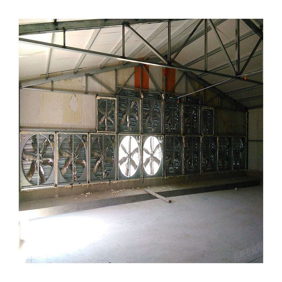 Supply OEM/ODM China 800*800mm 29 Inch Poultry Farm Ventilation Fan, Wall Mounted Industrial Ventilation Exhaust Fan