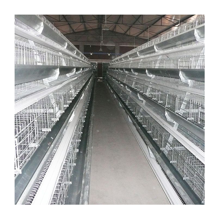 animal cages ‎eggs chicken cage for layers poultry farming chicken cages layer