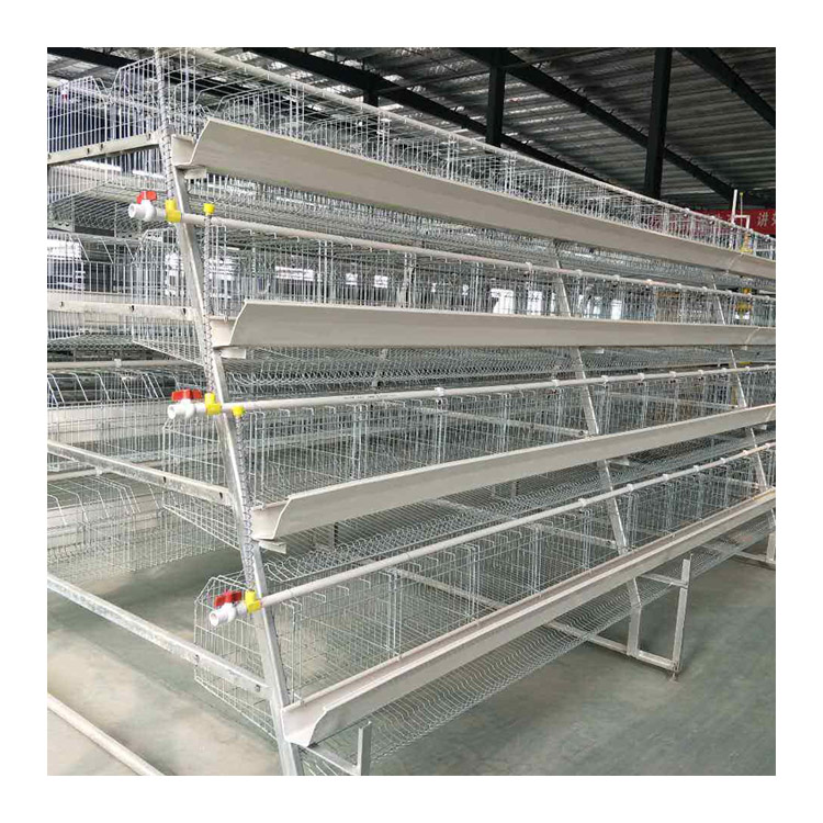 layer cages chicken farm chicken cages egg layer chicken cage automatic