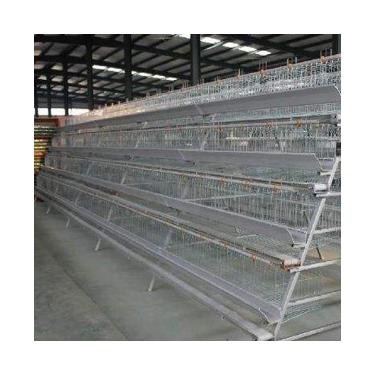 chicken cage layer poultry cages for layer chickens layer cage used in poultry farm