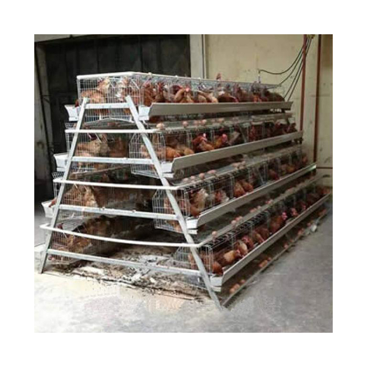 chicken house cage chicken cages for sale egg laying chicken cage