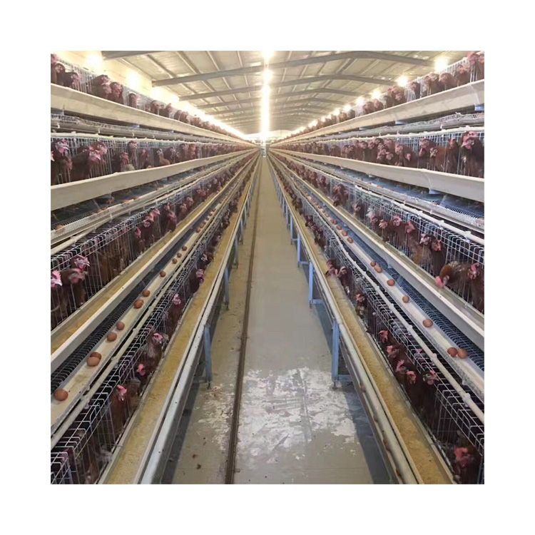 A Type Chicken Layer Breeding Cage 4 Tiers Hot DIP Galvanized Poultry House Chicken Egg Collection
