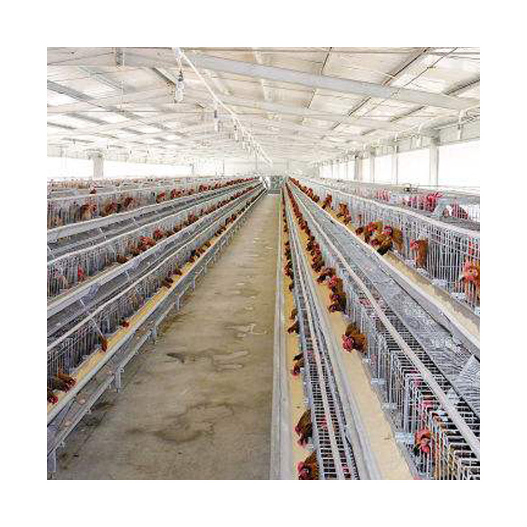 Poultry Farming Equipment Supplier Commercial Automatic Battery Egg Layer Chicken Laying Hens Cages