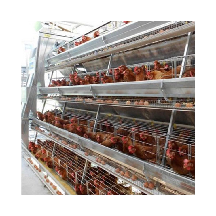 Poultry Farming Equipment Supplier Commercial Automatic Battery Egg Layer Chicken Laying Hens Cages