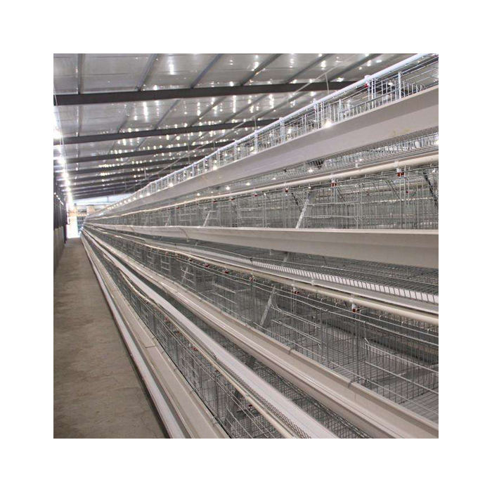 Centralized Design A Type Poultry Farm Equipment Automatic Cage for Laying Layer Chicken