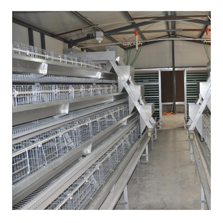 layer cages chicken farm chicken cages egg layer chicken cage automatic