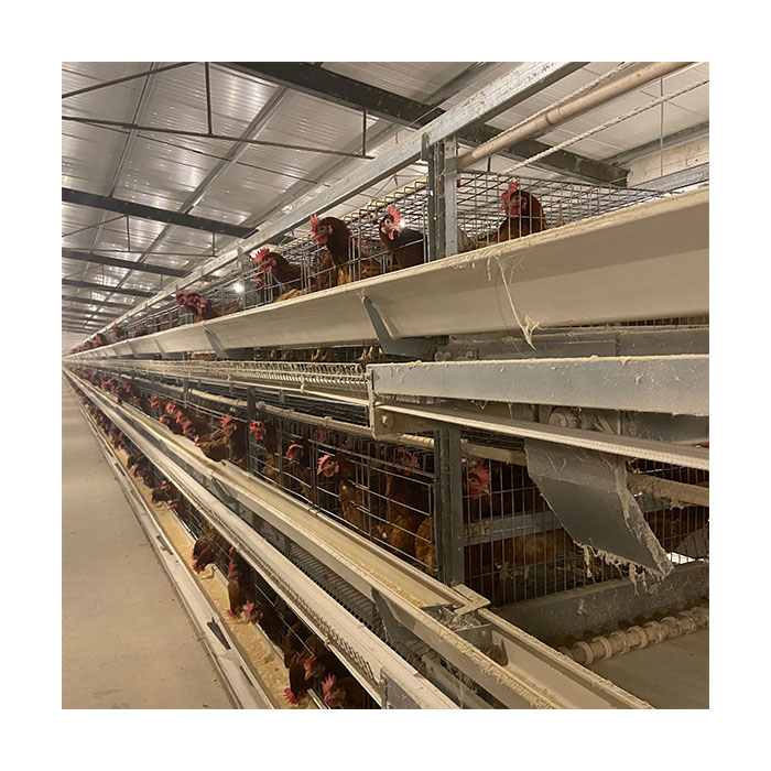 Automatic A Type 4 Tiers Chicken Egg Layer Battery Farming Cage for Poultry Farm