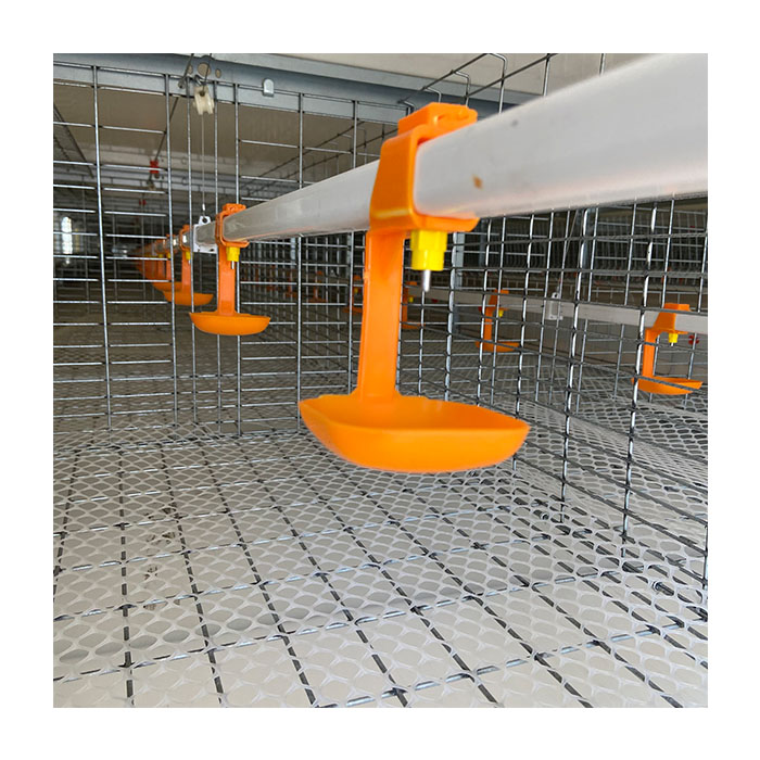 Chicken Cages H Type Poultry Cages Equipment Automatic Ventilation Broiler Cages