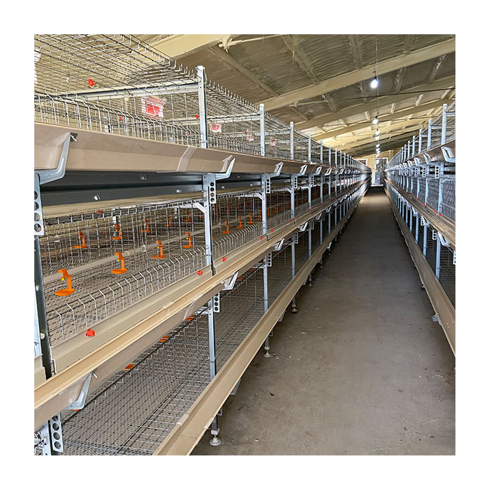 Chicken Cages H Type Poultry Cages Equipment Automatic Ventilation Broiler Cages