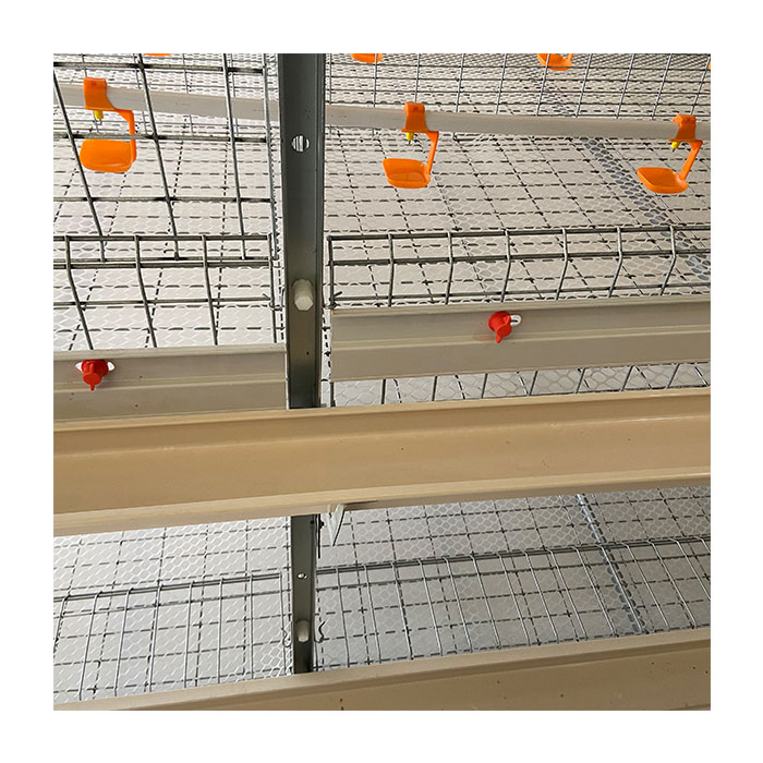 Poultry Farm Equipment Broiler Breeding H Type Chicken Cage