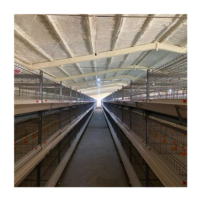 Poultry Farming Equipment Good Service Broiler Chicken Cage