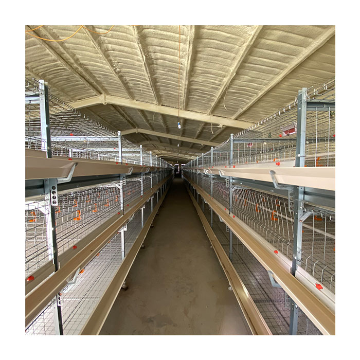 Good Quality Nice Price Chicken Houses Poultry Automatic Farming Equipment Broiler Cages Chicken