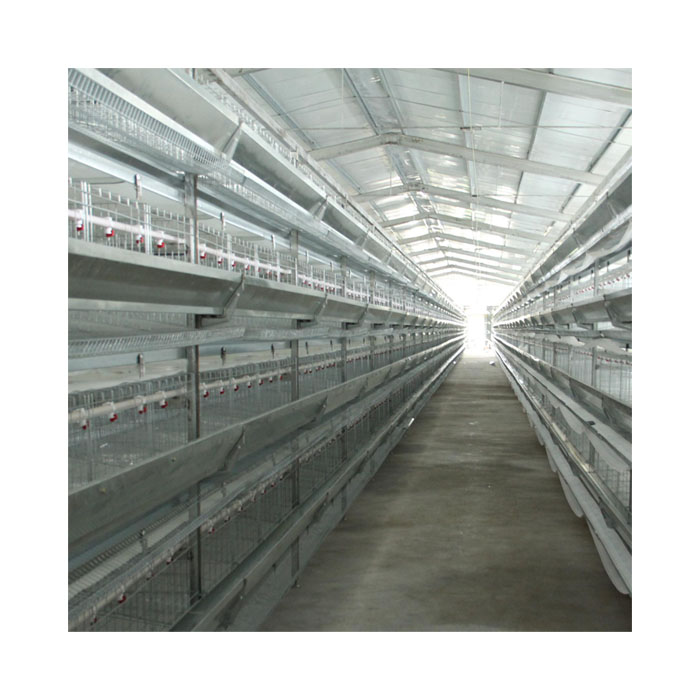 Chicken Farm Fully Automatic Mechanized H-Type Multi-Layer Chicken Cage