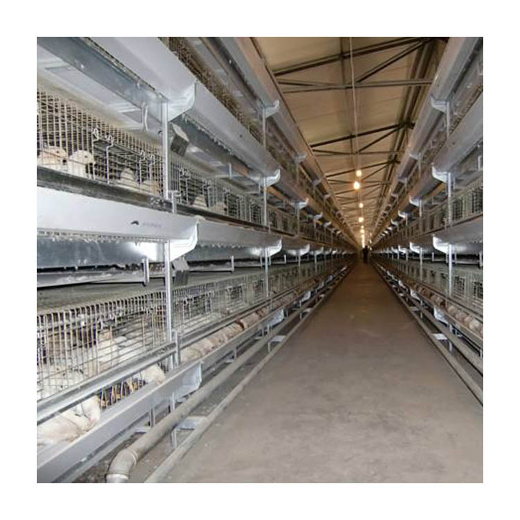 Good Price Automatic Layer Chicken Cage for Laying Hens Farm Battery Cages
