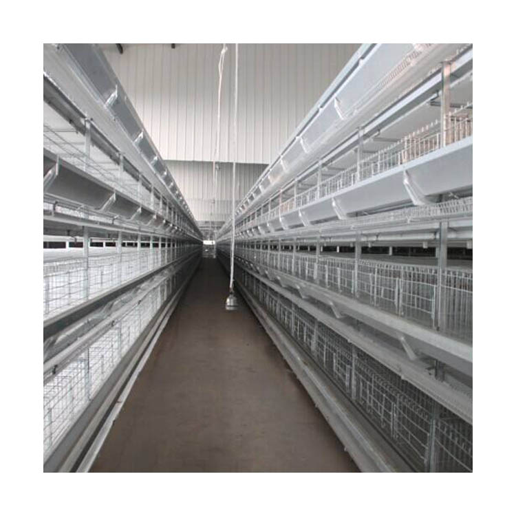 Automatic poultry equipment galvanized silk broiler chicken cages