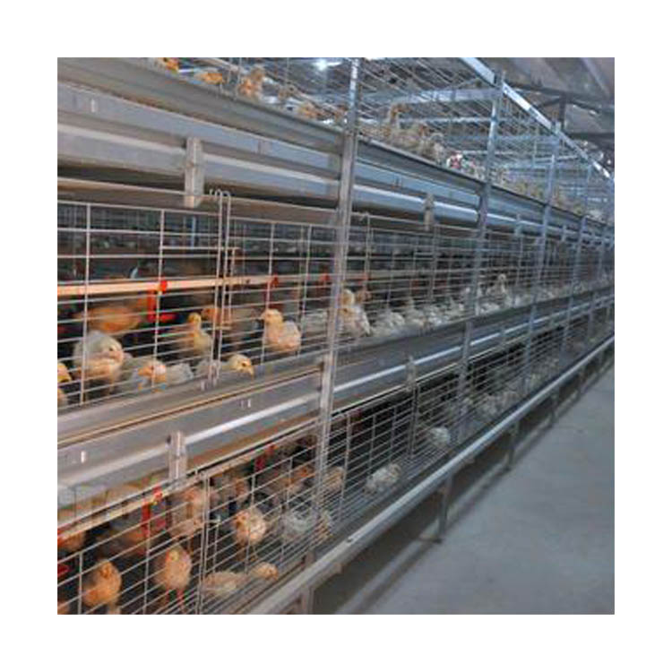 H Type Layer Chicken Cage Hot Dipped Galvanised Chicken Egg Layer Cage Chicken Cage Poultry Farming Equipment