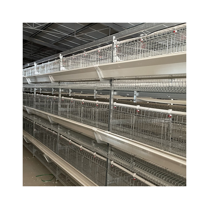 H Type Layer Chicken Cage Hot Dipped Galvanised Chicken Egg Layer Cage Chicken Cage Poultry Farming Equipment