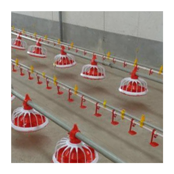 Best quality automatic poultry equipment broiler chickens floor feeding system of chicken farm Featured Image