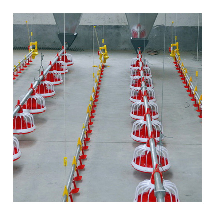 Poultry Equipment Floor Raising System with Automatic Feeding System for Sale