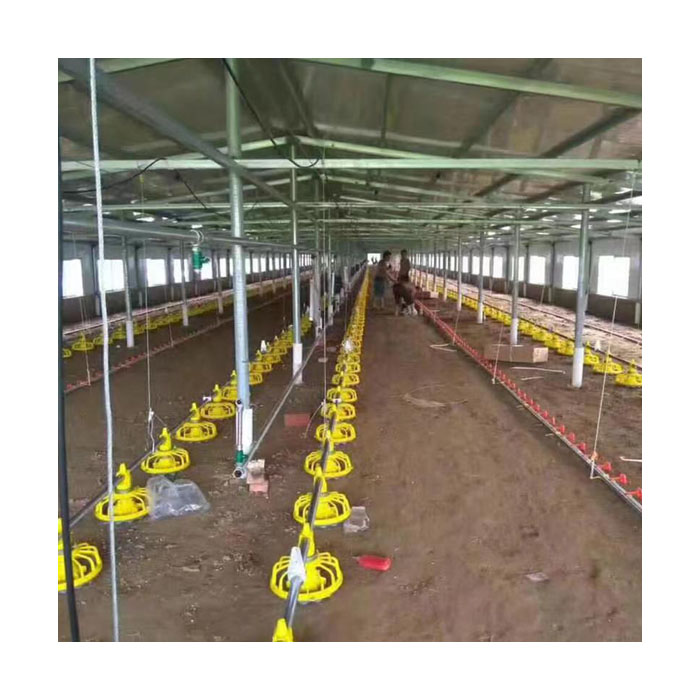 Automatic Broiler Feeding System Floor Feeding System for Broiler Chicken Farm House Ground Poultry Feed Equipment