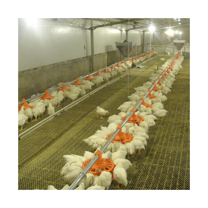 automatic poultry house for broiler floor feeding system