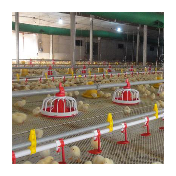 Automatic poultry equipment broiler chciken feeding pan floor feeding system