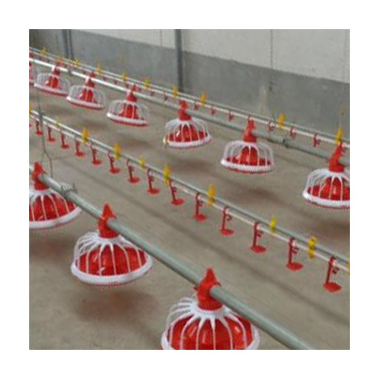 Poultry Houses Auto-Feeding and Drinking System Brids Poultry Chicken Feeding System
