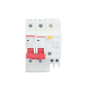 MUTAI CMTB1LE-63 2P Residual Current Operated Circuit Breaker RCBO