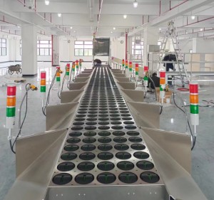 Wholesale OEM/ODM Straight Belt Sorting Conveyor Machine Seeds Sorting Belt Conveyor Machine