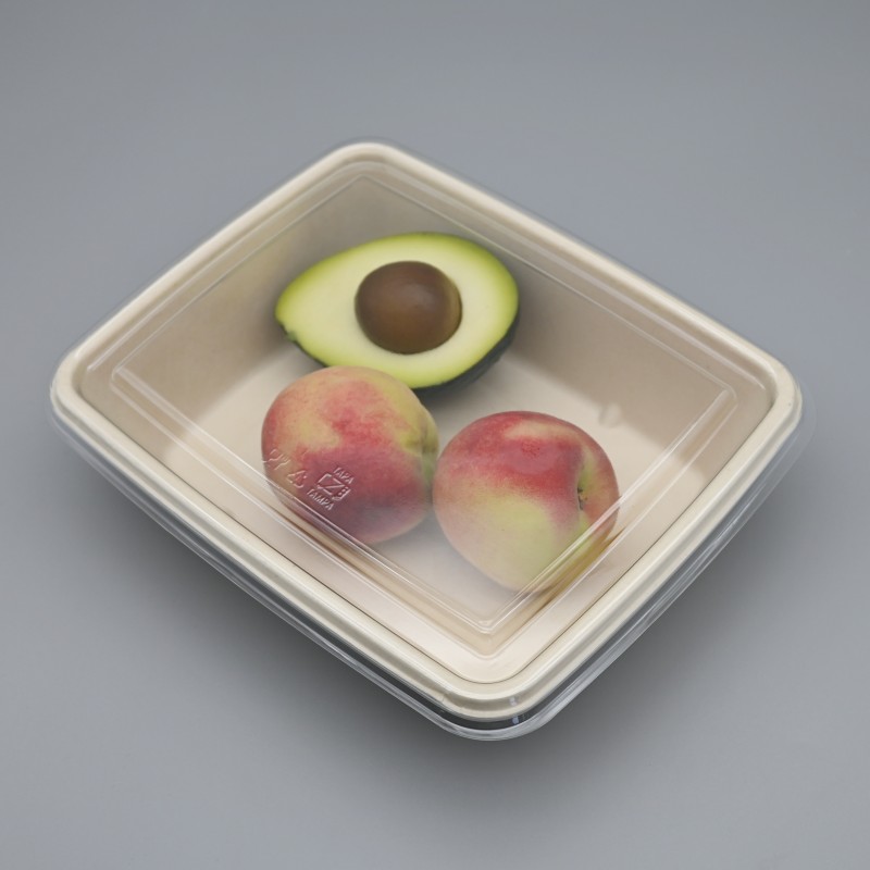 Disposable Plastic Fruit Containers manufacturer, Buy good quality  Disposable Plastic Fruit Containers products from China