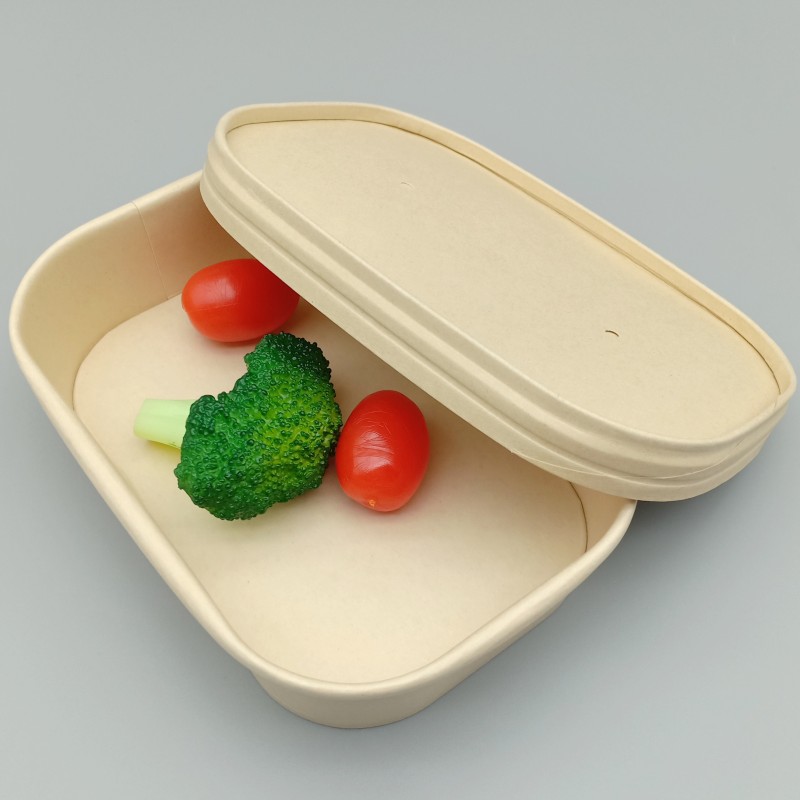 Biodegradable Bamboo Sugarcane Bagasse Container Bento Lunch Box Disposable