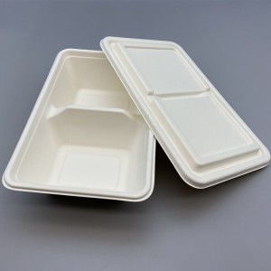 1000ml Compostable Sugarcane Food Container with Bagasse Lid