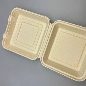 10 Inch Unbleached Bagasse /Sugarcane Eco-friendly Lunch Box