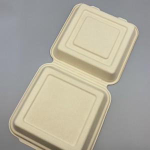 10 Inch Unbleached Bagasse / Sugarcane Eco-friendly Lunch Box
