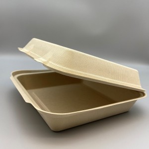 8.5inch tasi Bagasse ClamShell Pusa Mea'ai Container Supplier