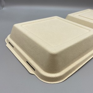 10 inch ongebleekte bagasse/suikerriet milieuvriendelijke lunchbox