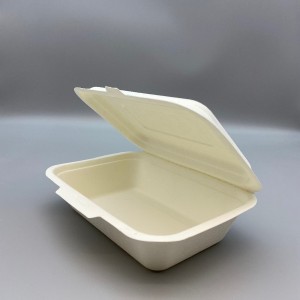600ml 7 inch x 5 inch Compostable Bagasse Locked Clamshell Food Box