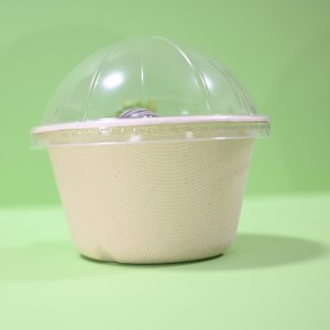 Kompostovatelná nádoba na cukrovou třtinu 65ml miska na zmrzlinu s PET víčkem