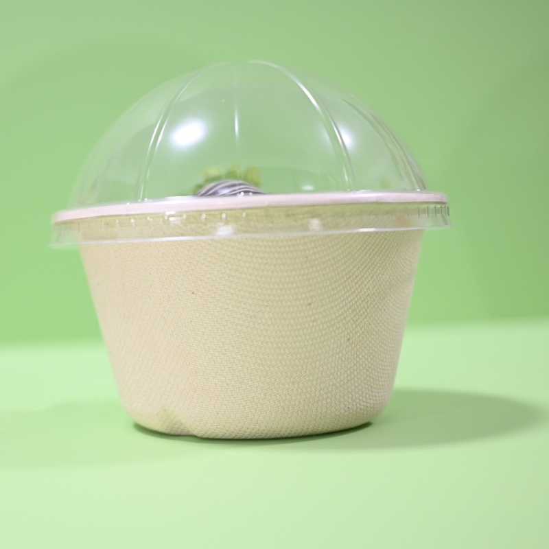 sugarcane compostable container 65ml ice cream bowl with PET lid